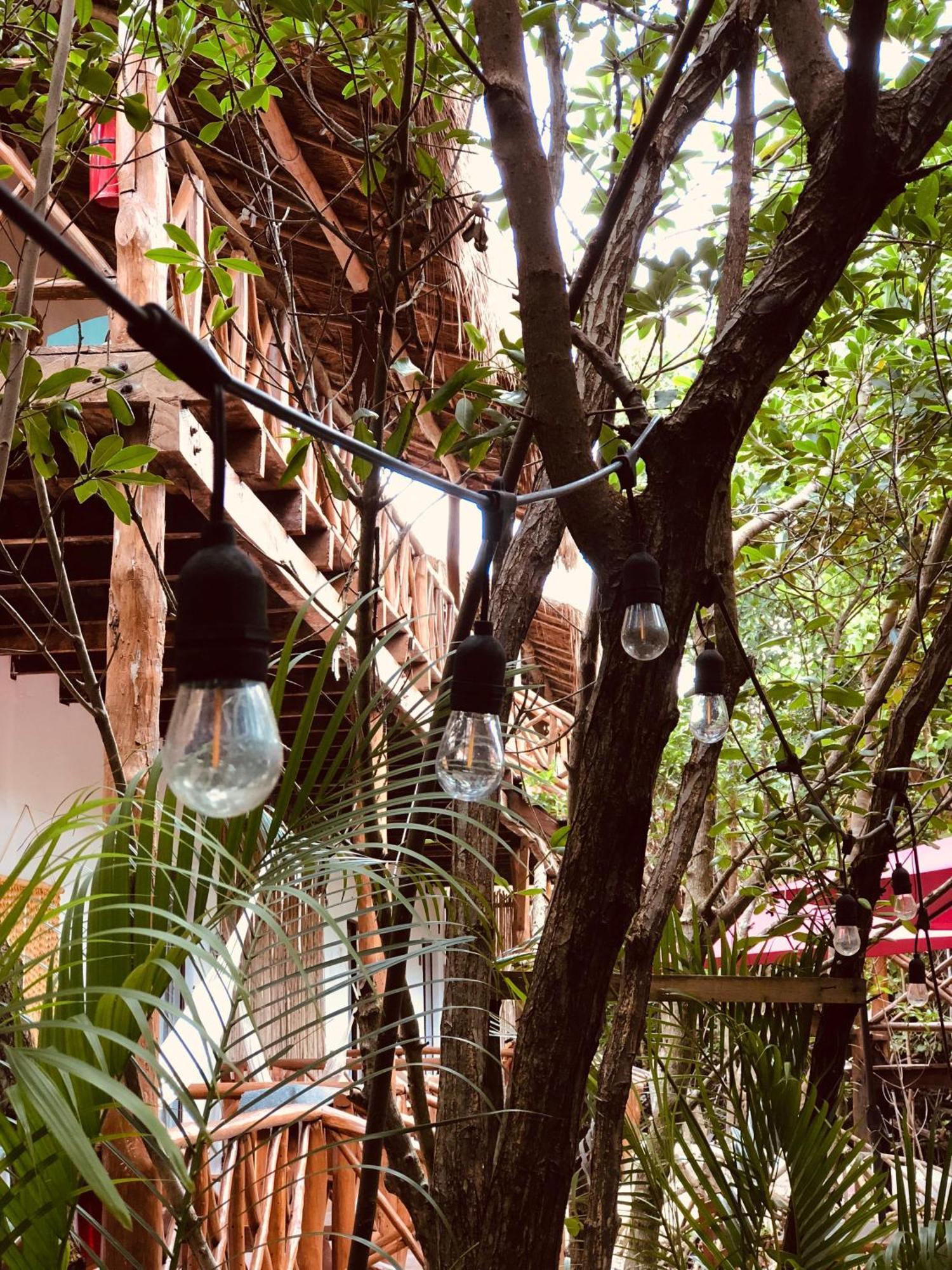 Cabanas Tulum - Aldea Mangle & Cenote Exterior foto